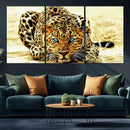 Blue-Eyed Leopard Canvas Wall Art - Framed Animal Print