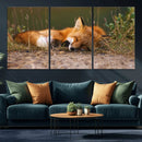 Sleeping Fox Wall Art Canvas Print, Farmhouse Wall Decor and