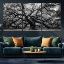 Black and White Old Angel Oak Tree Wall Art Canvas Print by MyGreatCanvas | Canvas Wall Art Prints | Photo Prints & Wall Decor