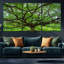 Ancient Tree Wall Art Canvas Print, Framed Sprawling by MyGreatCanvas | Canvas Wall Art Prints | Photo Prints & Wall Decor