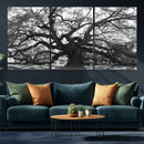 Ancient Oak Wall Art Canvas Print – Gnarled Tree Twisted by MyGreatCanvas | Canvas Wall Art Prints | Photo Prints & Wall Decor