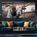 Texas Longhorn Wall Art Canvas Print – Framed Spotted Bull