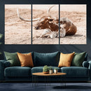Texas Longhorn Wall Art – Framed Resting Bull Canvas by MyGreatCanvas | Canvas Wall Art Prints | Photo Prints & Wall Decor
