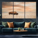 MyCanvas -