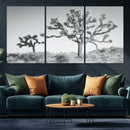 Joshua Tree Wall Art Canvas Print – Framed Black White