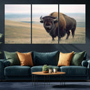 Bison Wall Art Canvas Print – Framed Buffalo American Bison