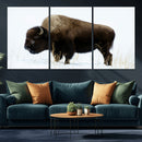 Bison Wall Art Canvas Print – Framed Western Wildlife