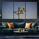 Joshua Tree Wall Art Canvas Print – Framed Southwestern
