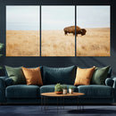 Buffalo Wall Art Canvas Print – Framed Western Wildlife