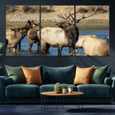 Wild Elk Wall Art Canvas Print – Framed Neutral Wildlife