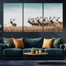 Elk Herd Wall Art Canvas Print – Framed Wildlife Photography