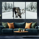 Moose Snow Wall Art Canvas Print – Framed Winter Wildlife