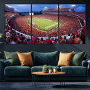 Dooley Stadium Wall Art, Sports Arena Canvas Print, Dooley by MyGreatCanvas | Canvas Wall Art Prints | Photo Prints & Wall Decor