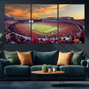 Dooley Stadium Wall Art, Sports Arena Canvas Print, Dooley by MyGreatCanvas | Canvas Wall Art Prints | Photo Prints & Wall Decor