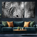 Wild Old Elephant Wall Art Canvas Print