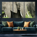 Wild Elephant Wall Art Canvas Print by MyGreatCanvas | Canvas Wall Art Prints | Photo Prints & Wall Decor