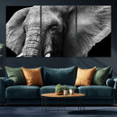 Big Elephant Close Up Wall Art Canvas Print