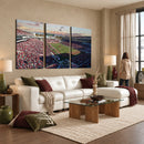 Ole Miss Rebels Vaught Hemingway Stadium Wall Art Canvas
