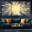 Tree and Sunshine Canvas Print