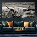 Cow Focus Canvas Wall Art Print by MyGreatCanvas | Canvas Wall Art Prints | Photo Prints & Wall Decor