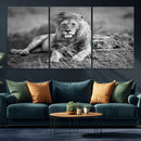 King Forest Lion Wall Art Canvas Print – Framed Majestic by MyGreatCanvas | Canvas Wall Art Prints | Photo Prints & Wall Decor
