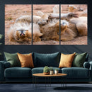 Lion Pair Wall Art Canvas Print – Framed Wildlife Scene with