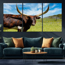 Longhorn and Cow Wall Art, Country Cow Wall Decor Canvas by MyGreatCanvas | Canvas Wall Art Prints | Photo Prints & Wall Decor