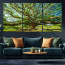 Majestic Oak Tree Wall Art – Serene Nature Canvas Print with
