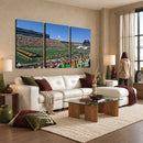 University of Missouri Tigers Football Team Print - Columbia