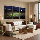 Michigan Wolverines Football Canvas Wall Decor, Football