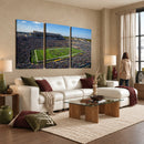 Notre Dame Fighting Irish Football Team Print - Notre Dame