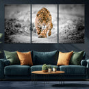 Jaguar Wall Art Canvas Print - Majestic Big Cat in Focused by MyGreatCanvas | Canvas Wall Art Prints | Photo Prints & Wall Decor