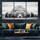 Resting Grizzly Bear Wall Art Canvas Print – Majestic Lazy by MyGreatCanvas | Canvas Wall Art Prints | Photo Prints & Wall Decor