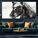 Framed Black and White Horse Wall Art | Ready to Hang and by MyGreatCanvas | Canvas Wall Art Prints | Photo Prints & Wall Decor