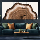 Rustic Wood Rings Wall Art | Nature-Inspired Tree Ring