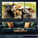 Curious Cows Farmhouse Wall Art | Ready to Hang and Framed