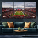 Florida Tampa Raymond James Stadium Wall Art Canvas Print -