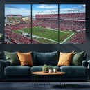 Florida Tampa Raymond James Stadium Wall Art Canvas Print -