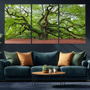 Framed Angel Oak Tree Wall Art - 3-Panel Canvas Prints,