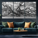 Black White Angel Oak Tree Wall Art - Timeless