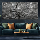 Majestic Angel Oak Tree Black and White Canvas Print – Multi by MyGreatCanvas | Canvas Wall Art Prints | Photo Prints & Wall Decor