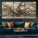 Sepia Framed Angel Oak Tree Wall Art - 3-Panel Canvas