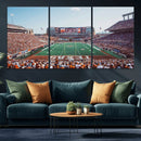Framed Texas Memorial Stadium Canvas, University of Texas