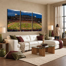 University of Illinois Fighting Illini Football Team Print -