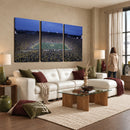 University of Michigan Wolverines Football Team Print - Ann