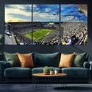 Framed USF Bulls Football Team Print - Tampa Raymond James by MyGreatCanvas | Canvas Wall Art Prints | Photo Prints & Wall Decor