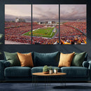 Iowa State University Cyclones Football Team Print - Ames