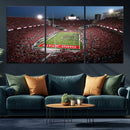 Ohio State University Buckeyes Football Team Print -