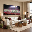 Rutgers University Scarlet Knights Football Team Print -