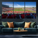 Ball State Cardinals Football Team Print - Muncie Scheumann
